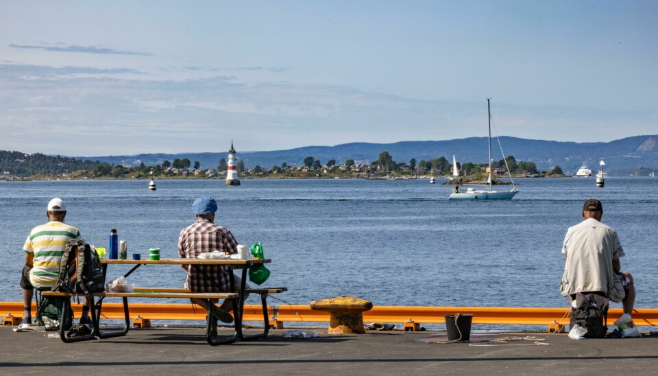 Hvor mange fritidsfiskere fisker egentlig i Oslofjorden? Svaret får vi fra Havforskningsinstituttet i mars. Bildet er tatt i Pipervika ved Akerhus festning. Hvor mange fritidsfiskere fisker egentlig i Oslofjorden? Svaret får vi fra Havforskningsinstituttet i mars. Bildet er tatt i Pipervika ved Akerhus festning.
