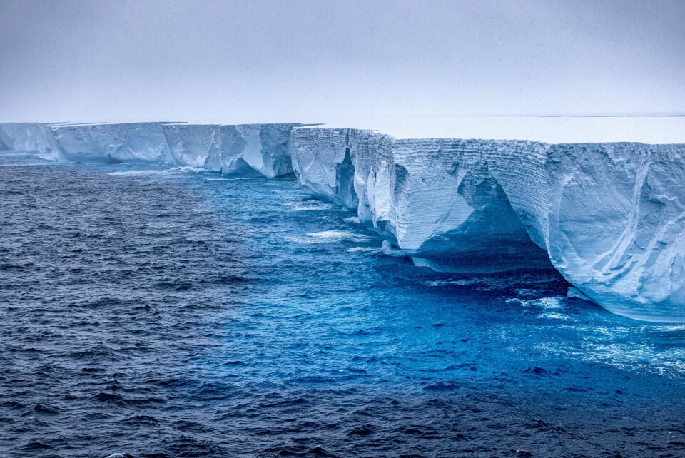 Isfjellet A23a går en usikker framtid i møte. The world's largest iceberg, named A23a, is seen in Antarctica, January 14, 2024, in this picture obtained from social media. Rob Suisted - http://naturespic.com/via REUTERS THIS IMAGE HAS BEEN SUPPLIED BY A THIRD PARTY. MANDATORY CREDIT.