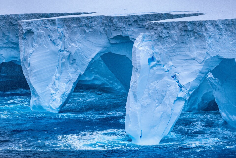 Bølgene har formet buer og huler i giganten. The world's largest iceberg, named A23a, is seen in Antarctica, January 14, 2024, in this picture obtained from social media. Rob Suisted - http://naturespic.com/via REUTERS THIS IMAGE HAS BEEN SUPPLIED BY A THIRD PARTY. MANDATORY CREDIT.