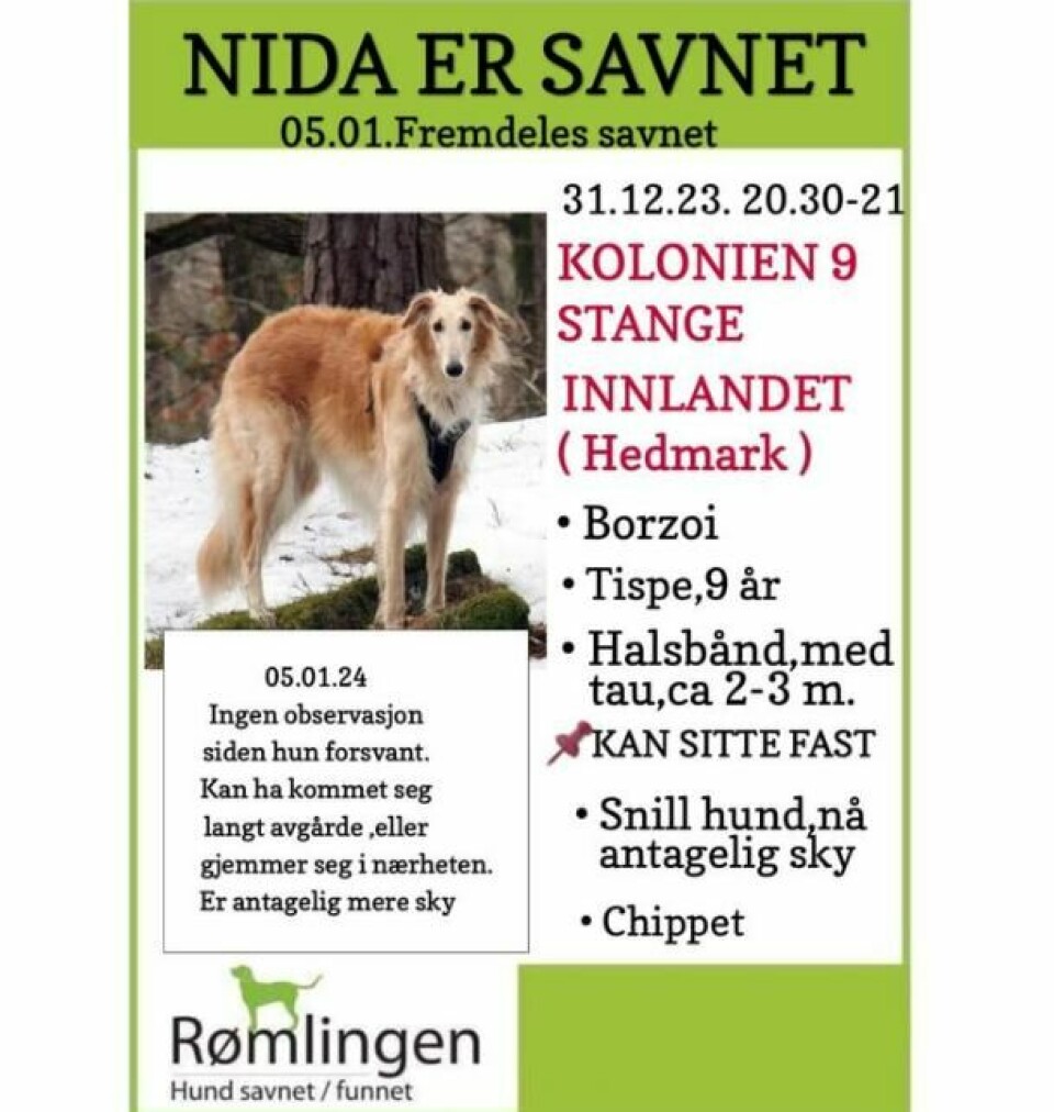 Etterlysningsplakat for hunden Nida, som ble borte på nyttårsaften. Hunden Nida, som ble borte på nyttårsaften.