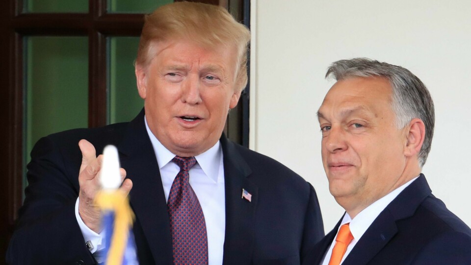 Donald Trump og Ungarns statsminister Viktor Orban er fulle av lovord om hverandre. Norsk professor peker på likhetstrekk mellom de to.