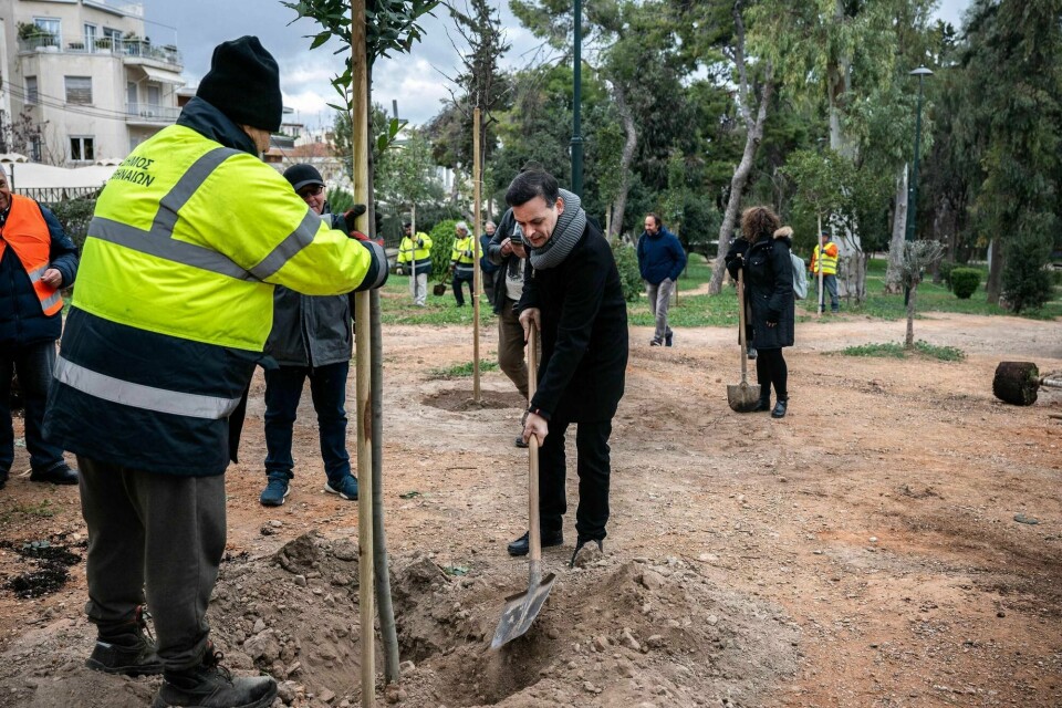 Atens ordfører Haris Doukas planter et tre i en park i den greske hovedstaden som en start på arbeidet med å prøve å kjøle ned byen. Haris Doukas Mayor of Athens plants a tree during a tree-planting at a park in Athens on January 28, 2024. The Greek capital of Athens will plant 25,000 trees over the next five years to help cool the sprawling metropolis' punishing summer heatwaves, the city's new mayor has told AFP. (Photo by Angelos TZORTZINIS / AFP)