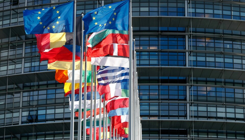 Onsdag samles EU-parlamentet i Strasbourg, blant annet for å vedta en kritisk resolusjon til Norges vedtak om å åpne for gruvedrift på havbunnen. Flaggene til EU-landene utenfor EU-parlamentet i Strasbourg. Arkivfoto: Jean-François Badias / AP / NTB
