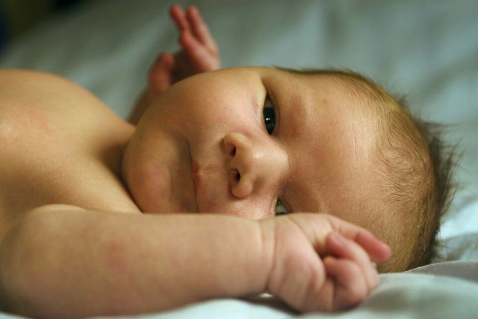Olivia og Lucas topper navnelista for nyfødte i 2023. Illustrasjonsfoto. Oslo 20030512 : Nyfødt baby. Guttebaby. Gutt. Foto: Lise Åserud / NTB (FRB) ** IKKE til bruk i forbindelse med barn og misbruk **