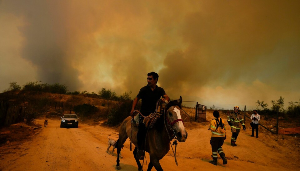 Innbyggerne flykter fra flammene i Vina del Mar i Chile Innbyggerne flykter fra flammene i Vina del Mar i Chile. Foto: AP / NTB