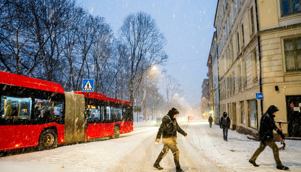 Med lavtrykket som kommer inn fra sør torsdag, blir det både regn, snø og underkjølt regn i farevarsel-områdene. Ruter advarer om at bussen kan få trøbbel. Her fra en tidligere snøværsdag i februar. Med lavtrykket som kommer inn fra sør torsdag, blir det både regn, snø og underkjølt regn i farevarsel-områdene. Ruter advarer om at bussen kan få trøbbel. Her fra en tidligere snøværsdag i februar. Foto: Javad Parsa / NTB