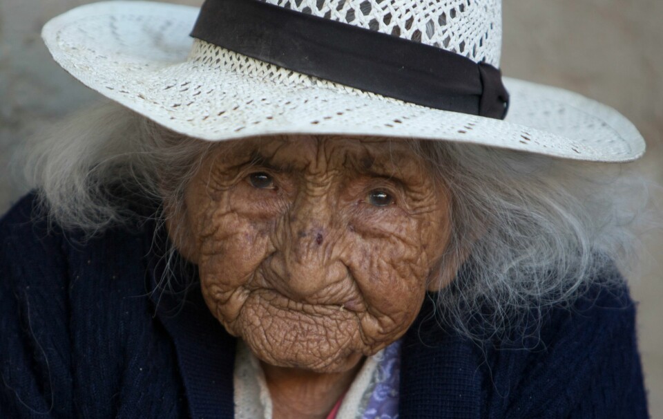 På dette bildet fra 23. august 2018 ser 117 år gamle Julia Flores Colque inn i kameraet mens hun sitter utenfor hjemmet sitt i Sacaba i Bolivia. Ifølge det nasjonale identitetskortet hennes ble Flores Colque født 26. oktober 1900 i en gruveleir i de bolivianske fjellene. Med sine 117 år og drøyt 10 måneder er hun den eldste kvinnen i Andeslandet og kanskje den eldste nålevende personen i verden. På dette bildet fra 23. august 2018 ser 117 år gamle Julia Flores Colque inn i kameraet mens hun sitter utenfor hjemmet sitt i Sacaba i Bolivia. Ifølge det nasjonale identitetskortet hennes ble Flores Colque født 26. oktober 1900 i en gruveleir i de bolivianske fjellene. Med sine 117 år og drøyt 10 måneder er hun den eldste kvinnen i Andeslandet og kanskje den eldste nålevende personen i verden.