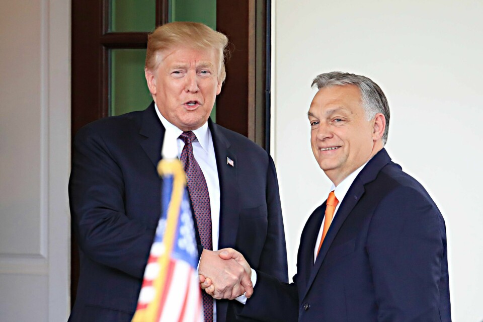 Daværende president Donald Trump og Ungarns statsminister Viktor Orban under et møte i Washington D.C., USA i 2019. President Donald Trump welcomes Hungarian Prime Minister Viktor Orban to the White House in Washington, Monday, May 13, 2019. (AP Photo/Manuel Balce Ceneta)