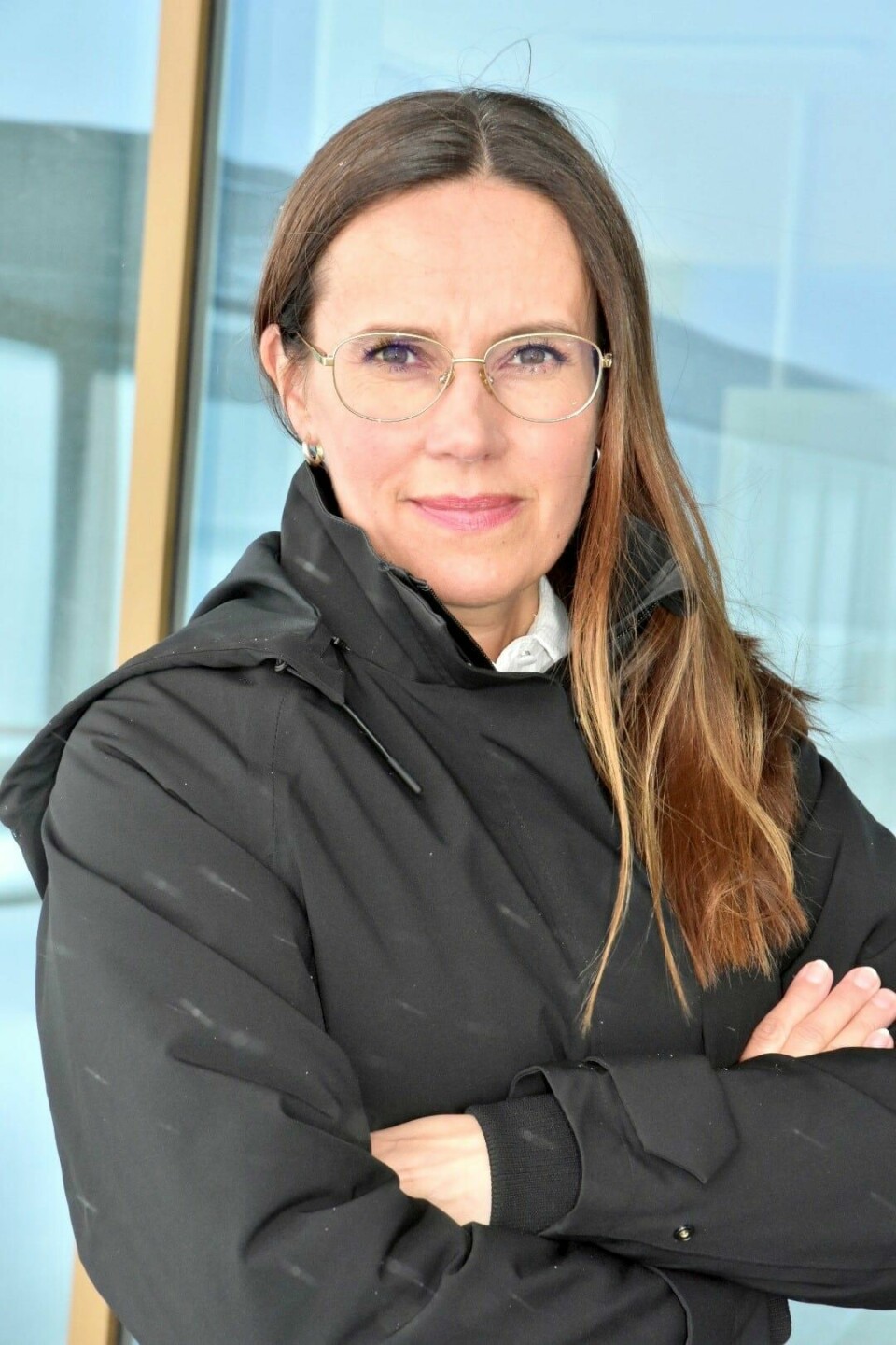 Marianne Sivertsen Næss (Ap), lederen av Stortingets energi- og miljøkomité Marianne Sivertsen Næss (Ap), lederen av Stortingets energi- og miljøkomité
