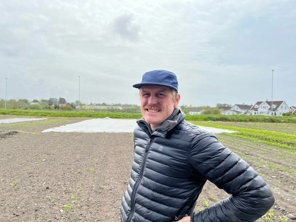Etter halvannet år som IT-konsulent, sa Aksel Leknes opp jobben for å starte med dyrking og salg av grønnsaker. Her i Randaberg leier han en jordflekk på to mål, og han er godt i gang med produksjonen. Etter halvannet år som IT-konsulent, sa Aksel Leknes opp jobben for å starte med dyrking og salg av grønnsaker. Her i Randaberg leier han en jordflekk på to mål, og han er godt i gang med produksjonen.