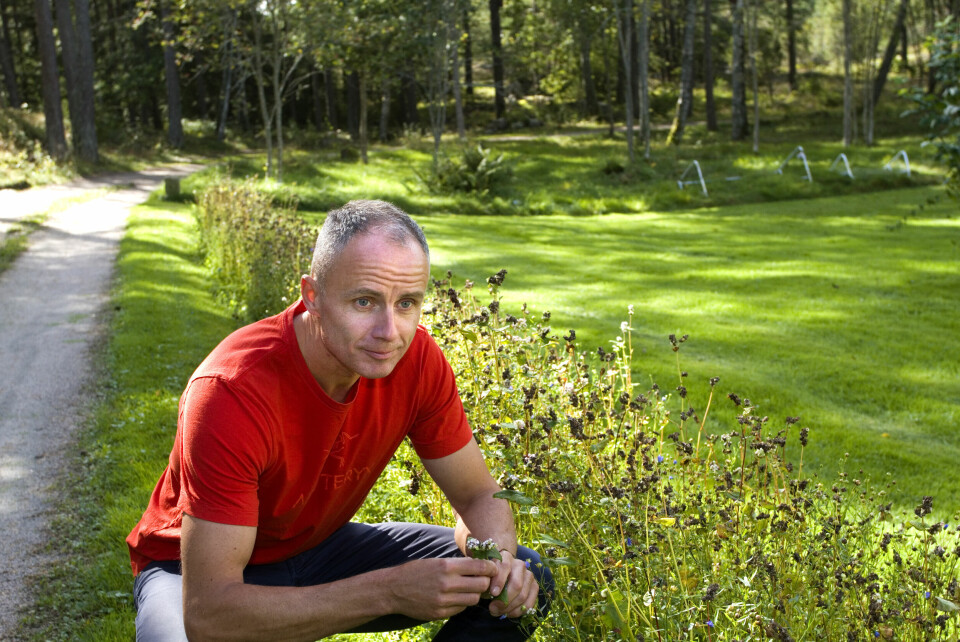 Erik Skauen, gruppeleder Miljøpartiet De Grønne Fredrikstad og utvalgsleder Kultur og Miljø. Erik Skauen, gruppeleder Miljøpartiet De Grønne Fredrikstad og utvalgsleder Kultur og Miljø.
