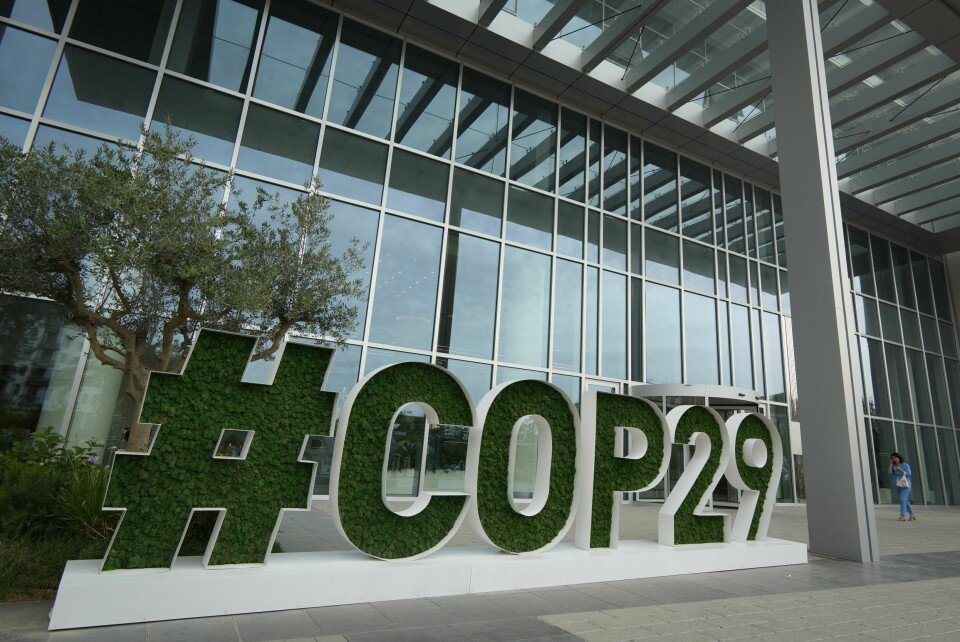 FNs klimatoppmøte avholdes 11.-22. november 2024 i Baku, Aserbajdsjan. Et skilt der det står #COP29, det er en hvit ramme som former bokstavene, med grønne planter som vokser inni.