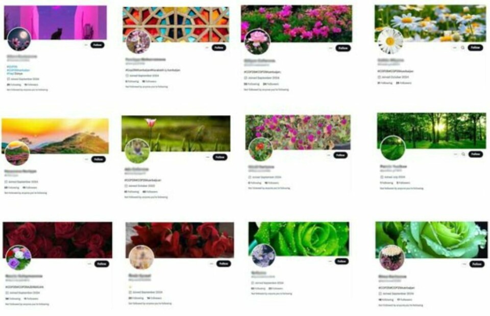 Slik ser profilene ut. 12 bilder av de falske profilene på rad, alle har stockbilder av planter som profilbilde og banner. De ser veldig identiske ut.
