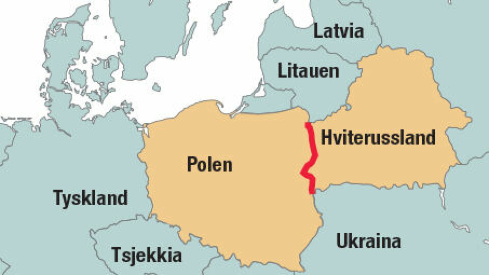 Grensen mellom Hviterussland og Polen er blitt arena for en storpolitisk tvist. Grensen mellom Hviterussland og Polen er blitt arena for en storpolitisk tvist.