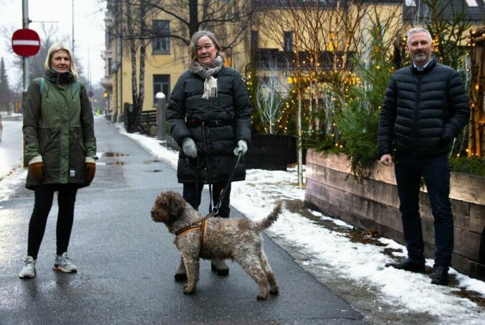 Prosjektlederne Kjersti Lie Løvik (f.v), Marianne Aune og etatsjef Per-Erik Torp er i full gang med planprogrammet til kommuneplanens arealdel. Siste frist for å melde innspill er lille julaften. Hunden Fiat var veldig fornøyd med en fin tur i gråværet. Kjersti Lie Løvik (f.v), Marianne Aune og etatsjef Per-Erik Torp