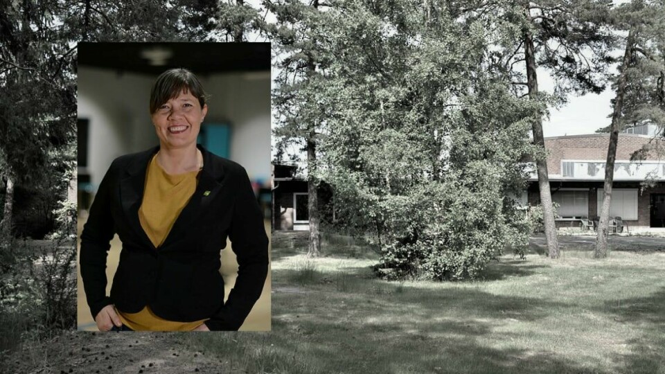 Margrete Kvalbein, bystyrepolitiker for Miljøpartiet De Grønne. Margrete Kvalbein, bystyrepolitiker for Miljøpartiet De Grønne.