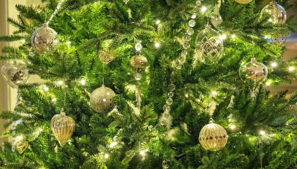 Stadig flere opplever allergilignende plager av juletrær og julepynt, ifølge en undersøkelse utført av YouGov. Stadig flere opplever allergilignende plager av juletrær og julepynt, ifølge en undersøkelse utført av YouGov. Foto: Gorm Kallestad / NTB