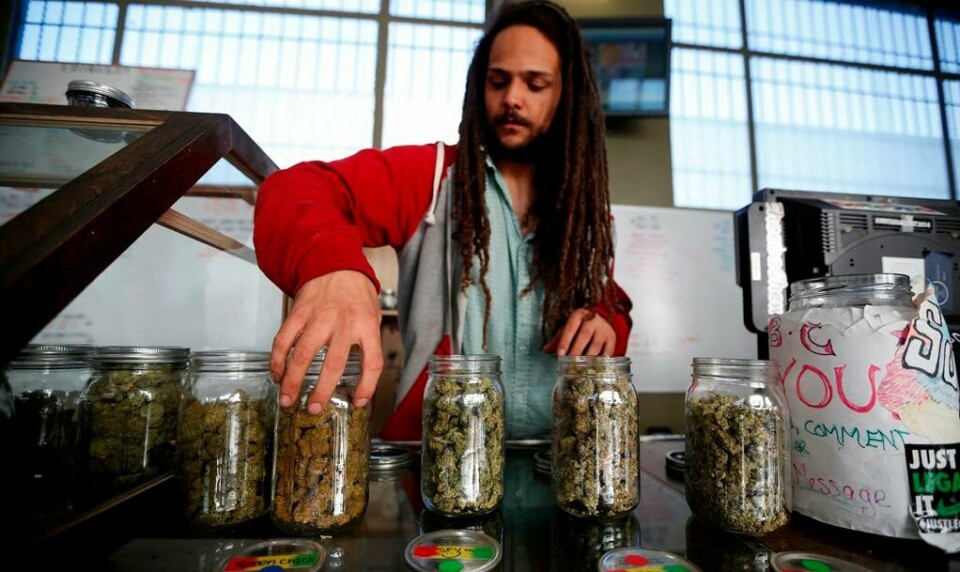 25 år gamle Charlie Kirchheimer viser fram glass med tørkede cannabisknopper i et utsalg for medisinsk marihuana i Los Angeles.