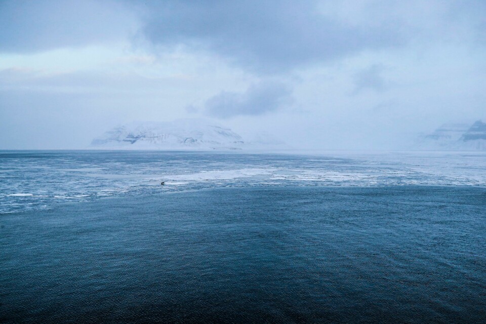 Nye værdata fra Svalbard viser at tallet på kalde dager har blitt halvert siden 90-tallet.