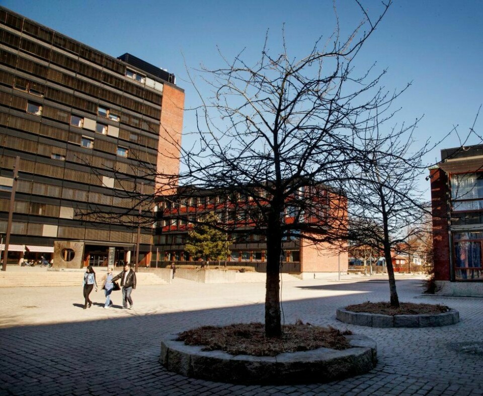UKULTUR: Direktøren for Eiendomsavdelingen ved Universitetet i Oslo innrømmer at det har vært en ukultur ved avdelingen i flere år.