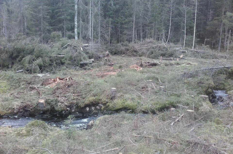Ryddingen av traseen for den nye skogsbilveien på Krokskogen i Marka, ble nylig påbegynt. Slik så det ut der da Naturvernforbundet i Oslo og Akershus besøkte stedet tidligere denne uka. Løvenskiold planlegger ferdigstillelse av anlegget i løpet av neste sommer. Ryddingen av traseen for den nye skogsbilveien på Krokskogen i Marka, ble nylig påbegynt. Slik så det ut der da Naturvernforbundet i Oslo og Akershus besøkte stedet tidligere denne uka. Løvenskiold planlegger ferdigstillelse av anlegget i løpet av neste sommer.
