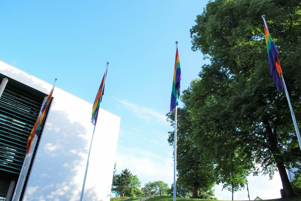 Pride-flaggene er heist ved Fredrikstad Rådhus. Pride-flagg