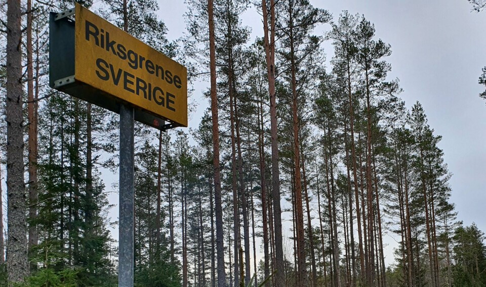 Svenskegrensen i skogen mellom Aremark og Dalsland. Grenseskilt.