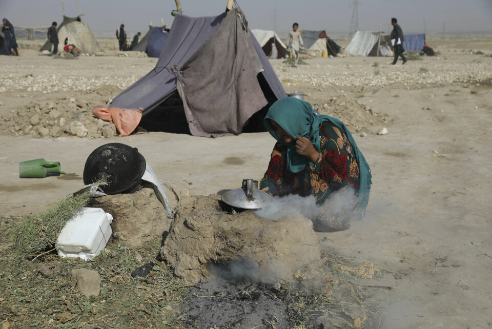 En kvinne lager te av tornekvister i en teltleir i byen Mazar-e-Sharif i Nord-Afghanistan. En kvinne lager te av tornekvister i en teltleir i byen Mazar-e-Sharif i Nord-Afghanistan.