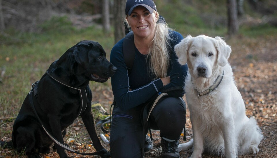 Hundeinstruktør Gro Heidi Hassing mener det ofte er små justeringer i hundeholdet som skal til for at øvelser og adferd lykkes, og tar en annen vending. Hundeinstruktør Gro Heidi Hassing mener det ofte er små justeringer i hundeholdet som skal til for at øvelser og adferd lykkes, og tar en annen vending.