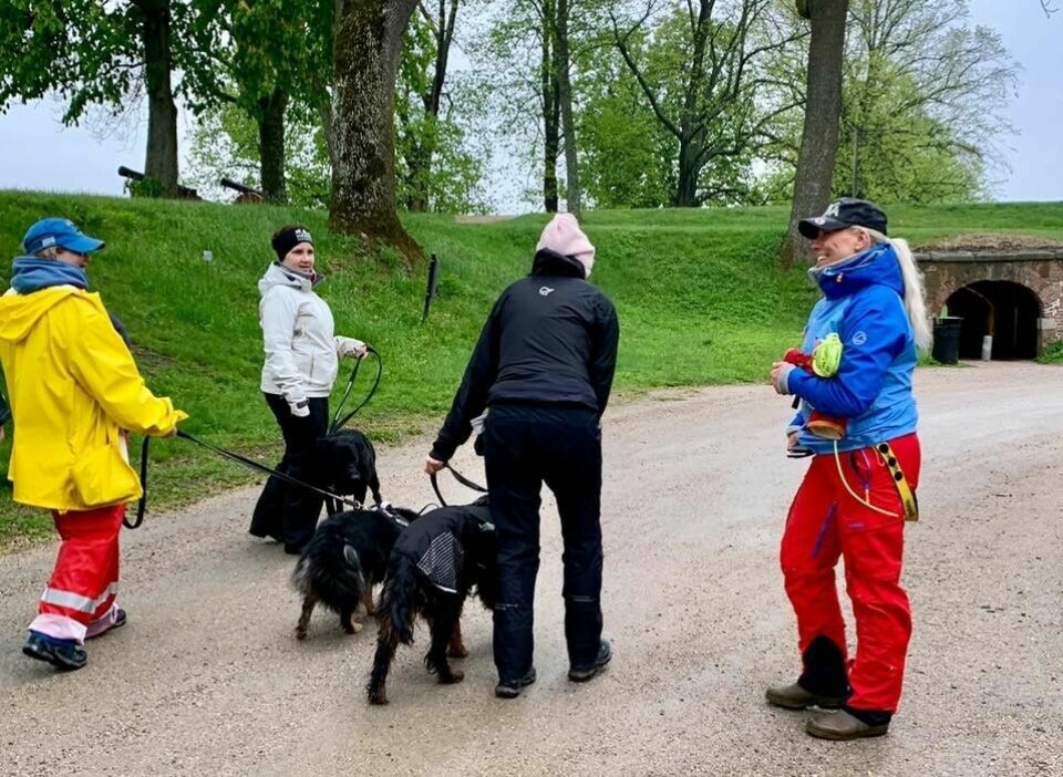 Heidi Hassings hundegjeng nektet å gi seg. De laget firmanavn, logo og trykket opp profilklær til den erfarne instruktøren. Dermed ble Hassing hundeskole etablert. Heidi Hassings hundegjeng nektet å gi seg. De laget firmanavn, logo og trykket opp profilklær til den erfarne instruktøren. Dermed ble Hassing hundeskole etablert.