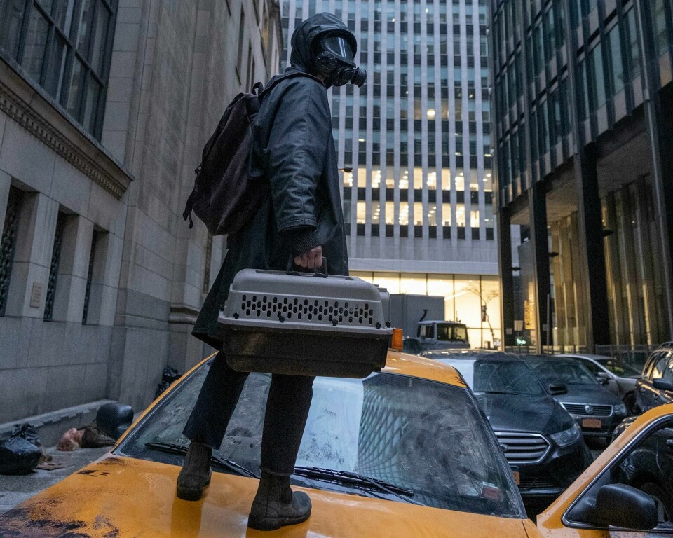 Yorick Brown er den eneste mannen igjen i verden i «Y: The Last Man». Skal han redde verden, må guttemannen først reddes fra seg selv. Yorick Brown er den eneste mannen igjen i verden i «Y: The Last Man». Skal han redde verden, må guttemannen først reddes fra seg selv.