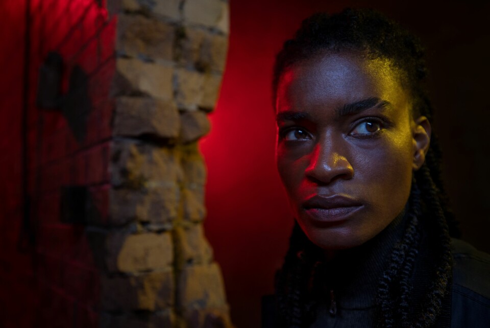 Agent 355 (Ashley Romans) er spesialagenten som får i oppdrag å redde Yorick, den eneste mannen igjen i verden. Det innebærer at hun må redde guttemannen fra seg selv også. Agent 355 (Ashley Romans) er spesialagenten som får i oppdrag å redde Yorick, den eneste mannen igjen i verden. Det innebærer at hun må redde guttemannen fra seg selv også.