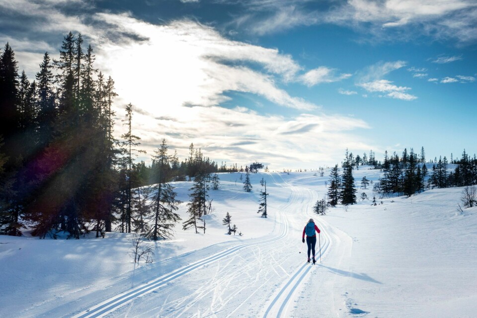 Man må opp i høyden for å oppleve skikkelig vintervær, ifølge meteorologene. Man må opp i høyden for å oppleve skikkelig vintervær, ifølge meteorologene. Foto: Gorm Kallestad / NTB