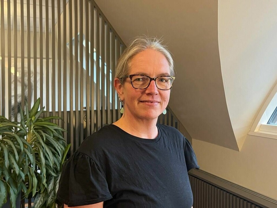 Marianne Lange Krogh, fylkesleder for Utdanningsforbundet Oslo, synes det er bekymringsfullt at kun 28 av de 5.600 rapporterte hendelsene i fjor ble politianmeldt. Marianne Lange Krogh, fylkesleder for Utdanningsforbundet Oslo, synes det er bekymringsfullt at kun 28 av de 5.600 rapporterte hendelsene i fjor, er blitt politianmeldt.