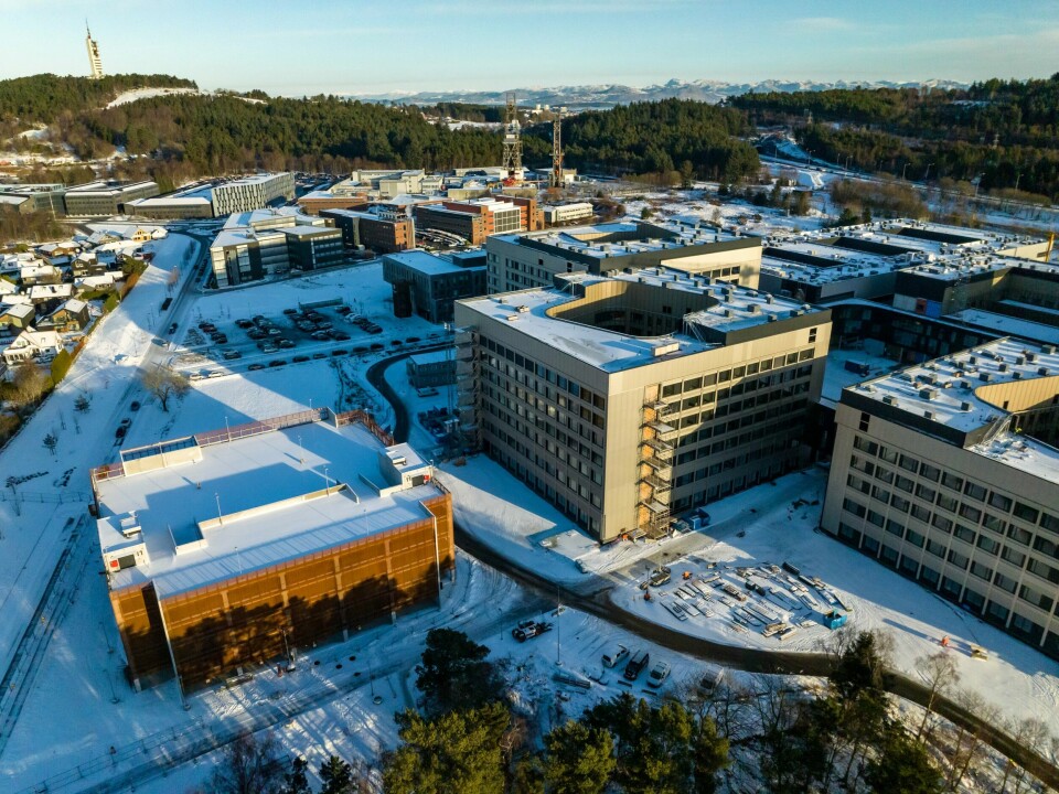 SUS. Nye Stavanger universitetssjukehus tar form.