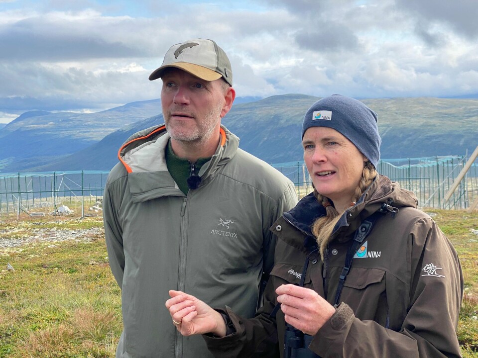 I NRK-programmet «Oppsynsmannen» får seerne et nært møte med fjellreven og oss som jobber med å bevare arten, skriver Nina E. Eide. På bildet er hun sammen med oppsynsmann Bård Tufte Johansen. Oppsynsmannen. Bård Tufte Johansen og forsker Nina E. Eide.
