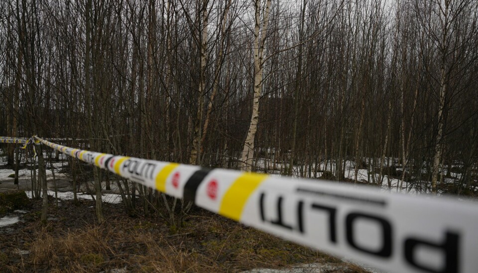Mann pågrepet etter funn av død mann i Nord-Odal. Politiet har startet drapsetterforskning etter funn av en død mann i Nord-Odal. Foto: Javad Parsa / NTB