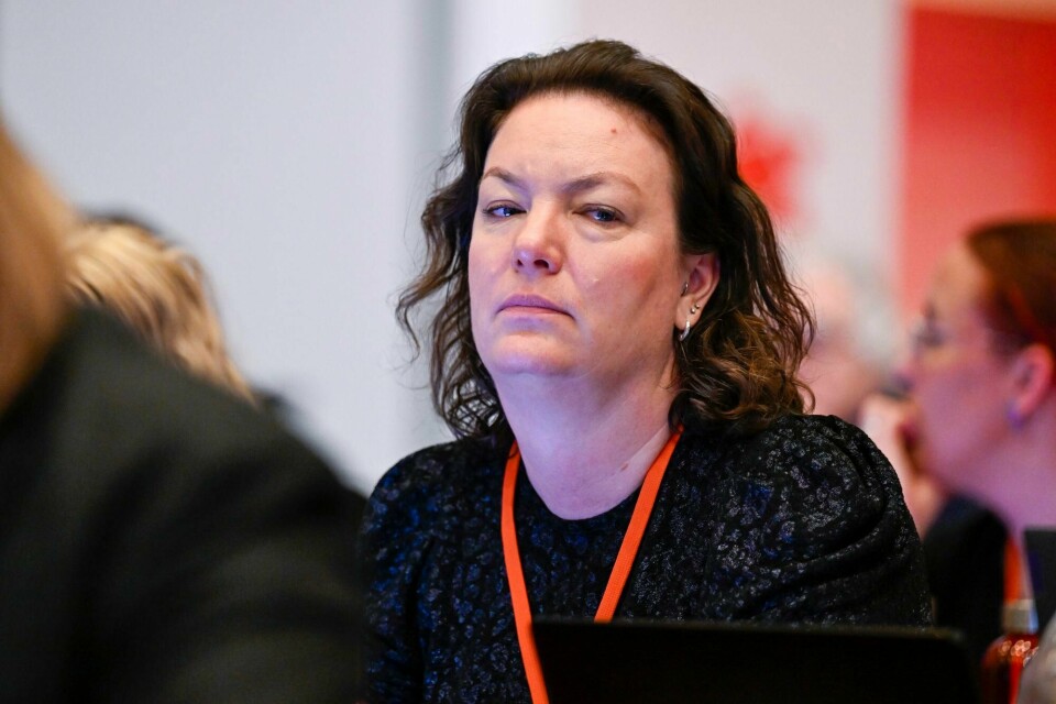 Hege Bae Nyholt, stortingsrepresentant for Rødt Hege Bae Nyholt, stortingsrepresentant for Rødt