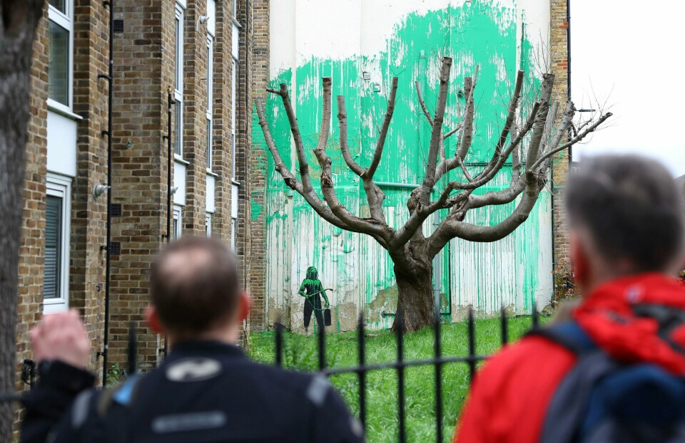 Et nytt kunstverk av Banksy dukket opp i Finsbury Park i London denne uken. Et tilsynelatende dødt kirsebærtre står foran en vegg dekket i grønn maling.