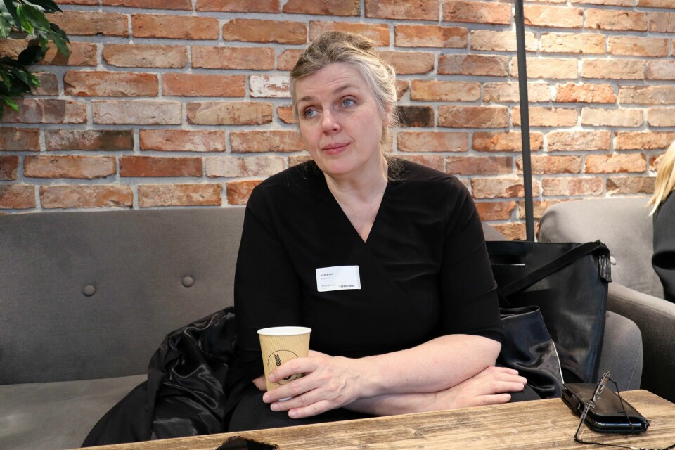 Siri Dokken er avistegner for Dagsavisen og er en av ti utstilte avistegnere i en utstilling på Stortinget. Siri Dokken.