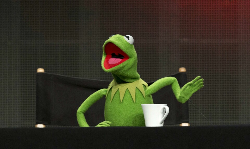 Frosken Kermit er nå nødt til å oppdatere familietreet sitt. Frosken Kermit.