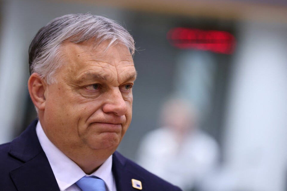 Ungarns statsminister Viktor Orban er ifølge NTB regnet som Vladimir Putins beste venn i EU. Nylig gratulerte Orban Russlands president med valgseieren på hjemmebane. Hungary's Prime Minister Viktor Orban attends a European Union leaders summit in Brussels, Belgium March 22, 2024. REUTERS/Johanna Geron