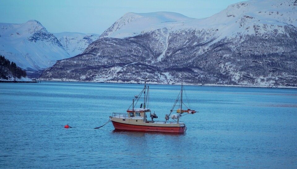 Å fordele fiskekvoter er litt som å dele ut honning fra en krukke som aldri går tom, skriver Trine Østereng. Da er det synd at vi deler ut mest til noen få. Å fordele fiskekvoter er litt som å dele ut honning fra en krukke som aldri går tom, skriver Trine Østereng. Da er det synd at vi deler ut mest til noen få.