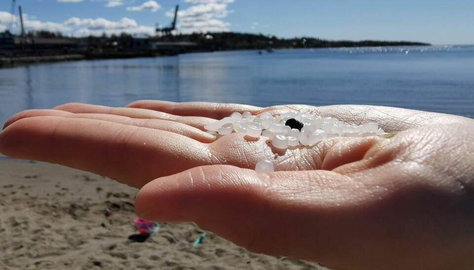 I samtlige 62 av 62 testede morkaker ble det funnet rester av mikroplast. Polyetylen, som brukes til å lage plastposer og flasker, var det vanligste plastmaterialet som ble påvist (illustrasjonsfoto). Plastpellets. Pellets. Plast. Forsøpling. Her fra Sjøbadet i Moss.