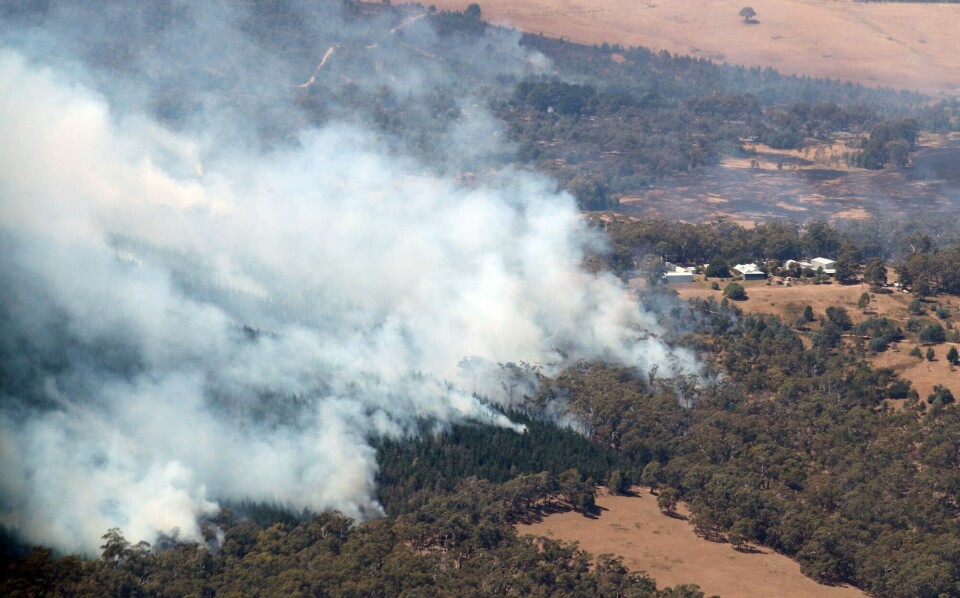 En skogbrann pågår ved Ballarat i Victoria i Australia. Myndighetene ber nå hundretusener evakuere på grunn av skogbrannfaren i et større område i landet. Smoke from bushfires rises north of Beaufort, near Ballarat in Victoria, Australia February 24, 2024. Firefighters are continuing to battle a large bushfire in western Victoria with authorities concerned conditions in the coming week will be the worst in four years. AAP Image/David Crosling/Pool/via REUTERS ATTENTION EDITORS - THIS IMAGE WAS PROVIDED BY A THIRD PARTY. NO RESALES. NO ARCHIVE. NEW ZEALAND OUT. NO COMMERCIAL OR EDITORIAL SALES IN NEW ZEALAND. AUSTRALIA OUT. NO COMMERCIAL OR EDITORIAL SALES IN AUSTRALIA