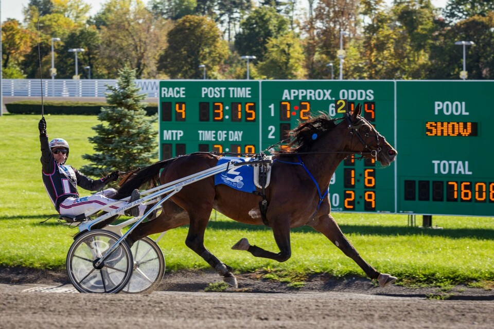 Papagayo E. og Ulf Uhlsson vinner VM på Yonkers Raceway i USA lørdag. FOTO: EIRIK STENHAUG/EQUUS MEDIA/NTB SCANPIX