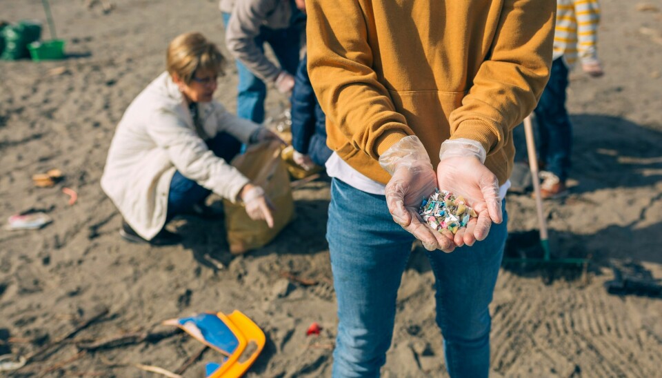 Strandrydding alene får ikke bukt med plastforurensingen. Nå viser en undersøkelse at mer enn halvparten av nordmenn er bekymret for hvordan mikroplast påvirker helsa vår. Strandrydding alene får ikke bukt med plastforurensingen. Nå viser en undersøkelse at mer enn halvparten av nordmenn er bekymret for hvordan mikroplast påvirker helsa vår.