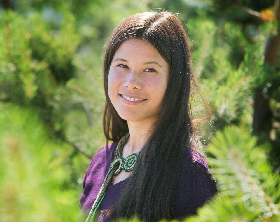 MDGs Nguyen Berg.