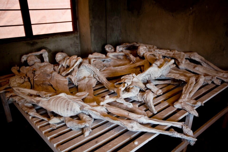 Murambi Genocide Memorial Center i Sør-Rwanda, der samlingen av knokler, synlige sener og bindevev fra 65.000 massakrerte mennesker etter folkemordet i 1994 ligger til beskuelse for fremtidige generasjoner. Foto: Heiko Junge / NTB Murambi Genocide Memorial Center i Sør-Rwanda, der samlingen av knokler, synlige sener og bindevev fra 65.000 massakrerte mennesker etter folkemordet i 1994 ligger til beskuelse for fremtidige generasjoner. Foto: Heiko Junge / NTB