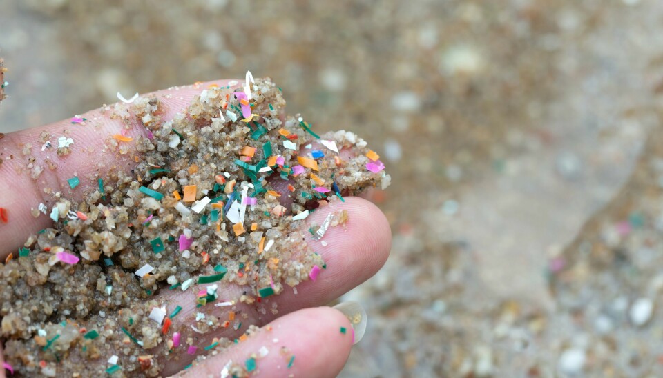 Mikroplast og nanoplast finnes over alt rundt oss. Nå har forskere funnet slike plastfragmenter i åreforkalkninger hos mennesker. Mikroplast